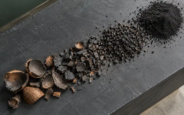 Shell charcoal fragments and fine powder arranged diagonally across a slate inspection counter